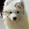 Profilbild von Roxie