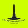 Callington CC 的头像