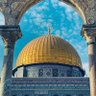 abu khawla's profile picture