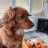Tina's profile picture