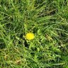 katcleo profil fotoğrafı