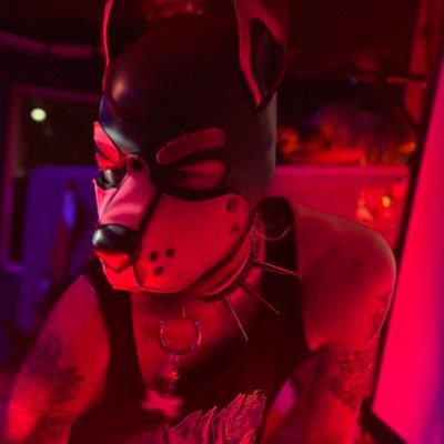 PupScamp1's profile picture