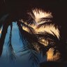 Schlomohammed's profile picture