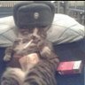 pema's profile picture