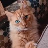 MaryHolland profil fotoğrafı