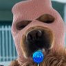 broSKI's profile picture