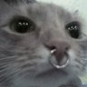She's thunderstorms's profile picture