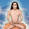 dhananjaya_SIFF's profile picture