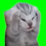 彩夢's profile picture