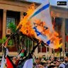 انا دمي فلسطيني ✌🇪🇬🇵🇸✌'s profile picture