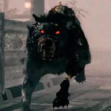 EpicDaylight's profile picture