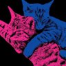 Vulcan's profile picture