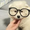 아이 profil fotoğrafı