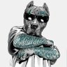 perro loco 的头像