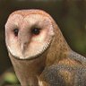 wyonmd profil fotoğrafı