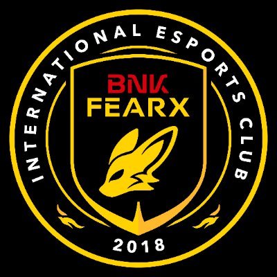 BNKFEARXEsports's profile picture