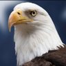 Eagle's profile picture