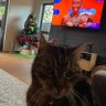 Junior's profile picture