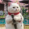 頭のネジが少し・・'s profile picture