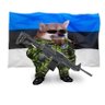 TheDudeFollows's profile picture