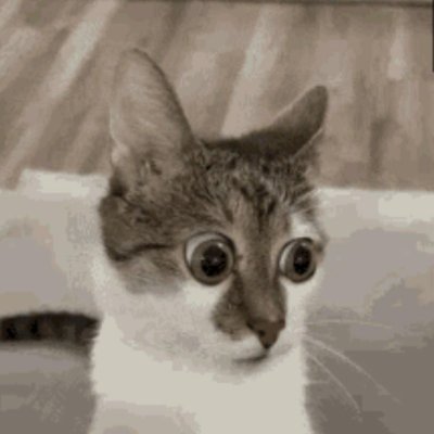 storiesinred1's profile picture