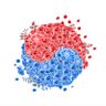 Jason Rey's profile picture