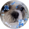 めぎゅみん profil fotoğrafı