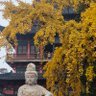 Profilbild von 东东西