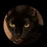 MollyB's profile picture