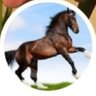 علي's profile picture