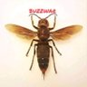 Buzzwarr profil fotoğrafı