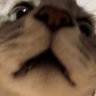 tattch's profile picture