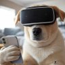 El perro de Pavlov profil fotoğrafı