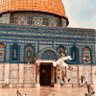 Фото профиля Eman