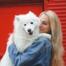 Фото профиля BURCU VET 🐕𑜞᭄ 3K