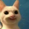 devin's profile picture
