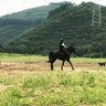 郑名 的头像
