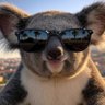 ata.🐨 profil fotoğrafı