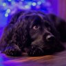 William 💙 SaveOurNHS's profile picture