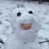 Profilbild von Jacek Placek