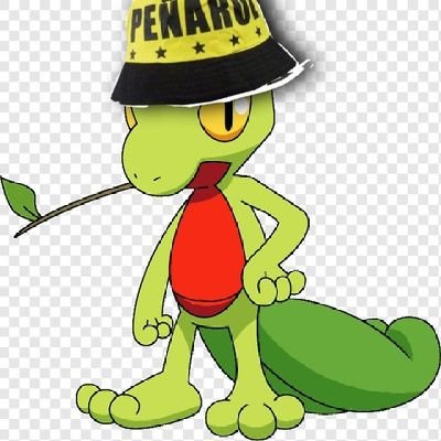 Joaco's profile picture