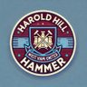 Harold Hill Hammer ⚒️'s profile picture