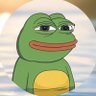stonksonlygoup's profile picture