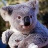 Babeta's profile picture
