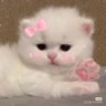 Donna's profile picture