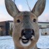 Profilbild von @mr coleman