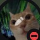boussani's profile picture