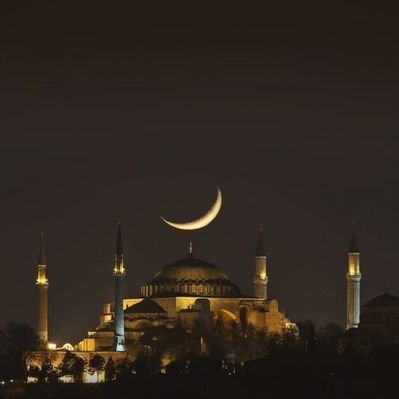 şafak yağmurları's profile picture