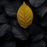 متعافي's profile picture