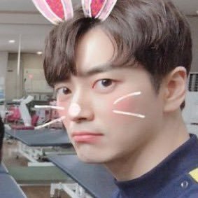 말뽀's profile picture